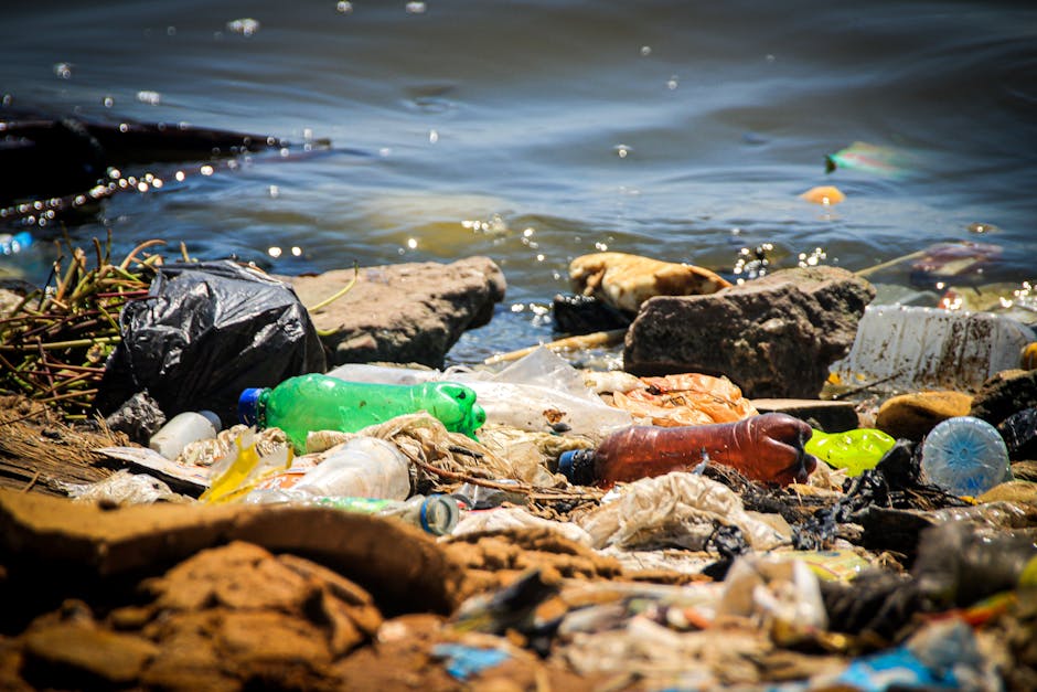 A shoreline contaminated with various types of rubbish including plastic bottles, containers, and packaging, scattered across rocks and pebbles near the water's edge. The plastic items are in multiple colors such as green, blue, brown, and clear, with some partially crushed or entangled with debris. Larger rocks and pebbles are visible in the foreground, with a few smaller fragments dispersed among them. The water in the background appears slightly rippled, with reflections and a few floating bits of trash near the surface. The environmental setting suggests a natural coastal area impacted by pollution, highlighting the issue of plastic waste pollution in waterfront environments. The scene emphasizes the need for proper waste disposal and the importance of independent rubbish removal services like those provided by Rubbish Removal Barnes, who specialize in managing and removing such debris from private properties and natural sites, ensuring cleaner and safer surroundings.
